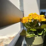 Сasa de vacaciones Elma